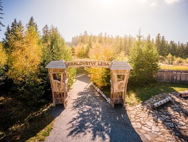 Království lesa (foto Lipno servis)