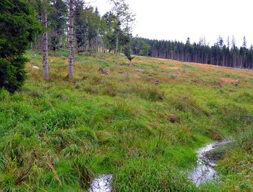 Medvědí stezka (foto Lemura-Haus/Emur)