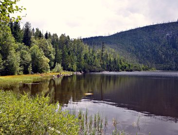 Plešné jezero (foto Lemura-Haus/Emur)