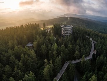 Stezka korunami stromů (foto Lipno servis)