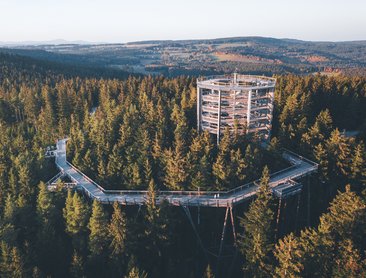 Stezka korunami stromů (foto Lipno servis)