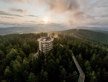 Stezka korunami stromů (foto Lipno servis)