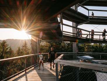 Stezka korunami stromů (foto Lipno servis)