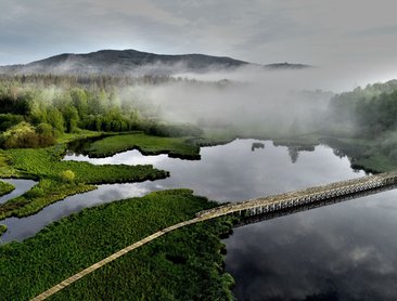 Naučná stezka Olšina (foto Vojenské lesy a statky ČR)