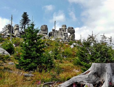 Třístoličník (foto Zdeněk Vopěnka)