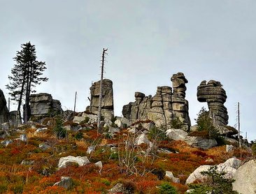 Třístoličník (foto Lemura-Haus/Emur)